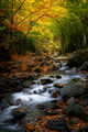 Есенна река ; comments:10