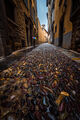 Дъждовните улици на Бергамо... ; comments:14