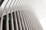 World Trade Center- Transportation Hub ; comments:13