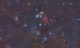 NGC 2170 и мъглавината Ангел - пълен кадър ; comments:6