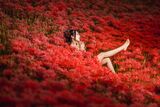 These red flowers…! ; Коментари:10