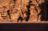 Wadi Rum ; comments:8