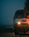 Влака и мъглата ; comments:2