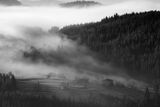 ''Сгушени в мъглата'' ; comments:20