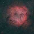 IC 1396 Elephant Trunk Nebula ; comments:6