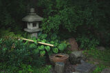 Японска градина ; Коментари:3