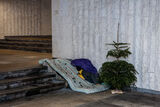 Бездомна Коледа - Homeless Christmas ; comments:8