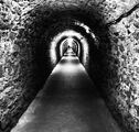 Светлина в тунела ; comments:22