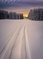 Път в снега ; comments:19