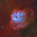 IC 410 - Tadpoles Nebula ; comments:8