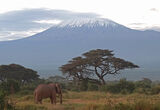 вр. Килиманджаро ; comments:28
