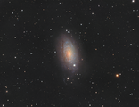 Галактиката М63 - Слънчоглед ; Коментари:9