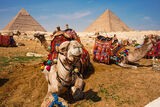 Египет в една снимка ; comments:3
