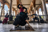 Flamenco / Sevilla 2024 ; comments:8