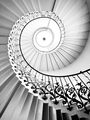 Tulip stairs ; comments:21