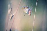 no name ( ID=2558678 ) ; comments:7