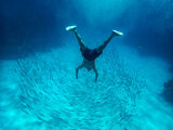 Diver in Red sea ; comments:15