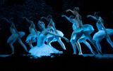 Russian Imperial Ballet,Swan Lake ; Коментари:2