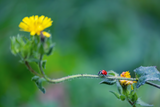 no name ( ID=2563178 ) ; comments:15