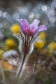 no name ( ID=2582765 ) ; comments:6