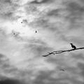 no name ( ID=2582955 ) ; comments:7