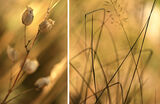 no name ( ID=2583280 ) ; comments:27