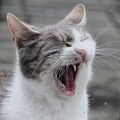 Настроение според времето ; comments:5