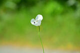 no name ( ID=2583715 ) ; comments:1