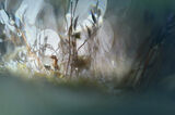 no name ( ID=2583817 ) ; comments:7