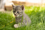 no name ( ID=2583970 ) ; comments:4