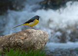 no name ( ID=2583994 ) ; comments:10