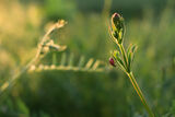 no name ( ID=2584364 ) ; comments:9