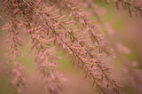 no name ( ID=2584494 ) ; comments:3