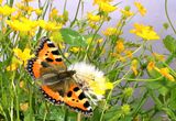 no name ( ID=2584523 ) ; comments:2
