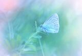 no name ( ID=2584538 ) ; comments:4