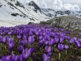 без име ( ID=2584555 ) ; Коментари:16