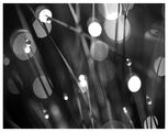 no name ( ID=2584714 ) ; comments:7