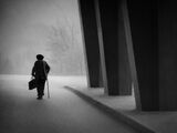 no name ( ID=2585200 ) ; comments:14
