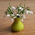 януарски поздрав ; Коментари:4