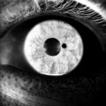 All Seeing Eye ; No comments