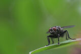 no name ( ID=2586440 ) ; comments:2
