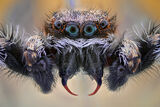 no name ( ID=2586474 ) ; comments:11