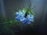 no name ( ID=2587001 ) ; comments:10