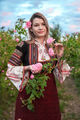 Розобер ; Коментари:5