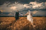 без име ( ID=2588656 ) ; Няма коментари