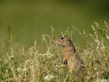 no name ( ID=2589570 ) ; comments:1